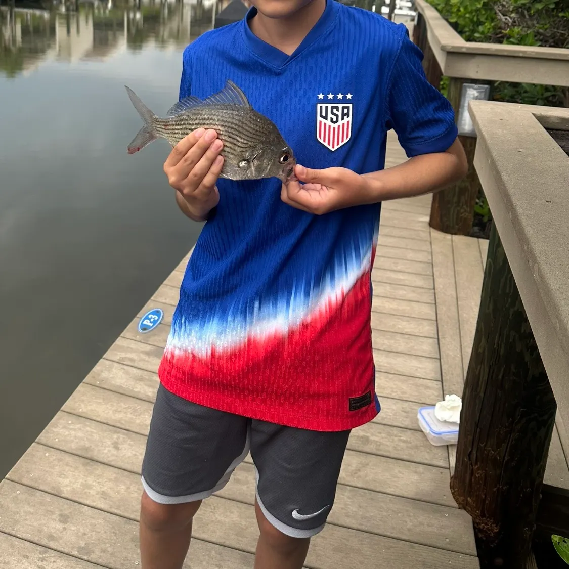 The most recent Striped mojarra catches on Fishbrain