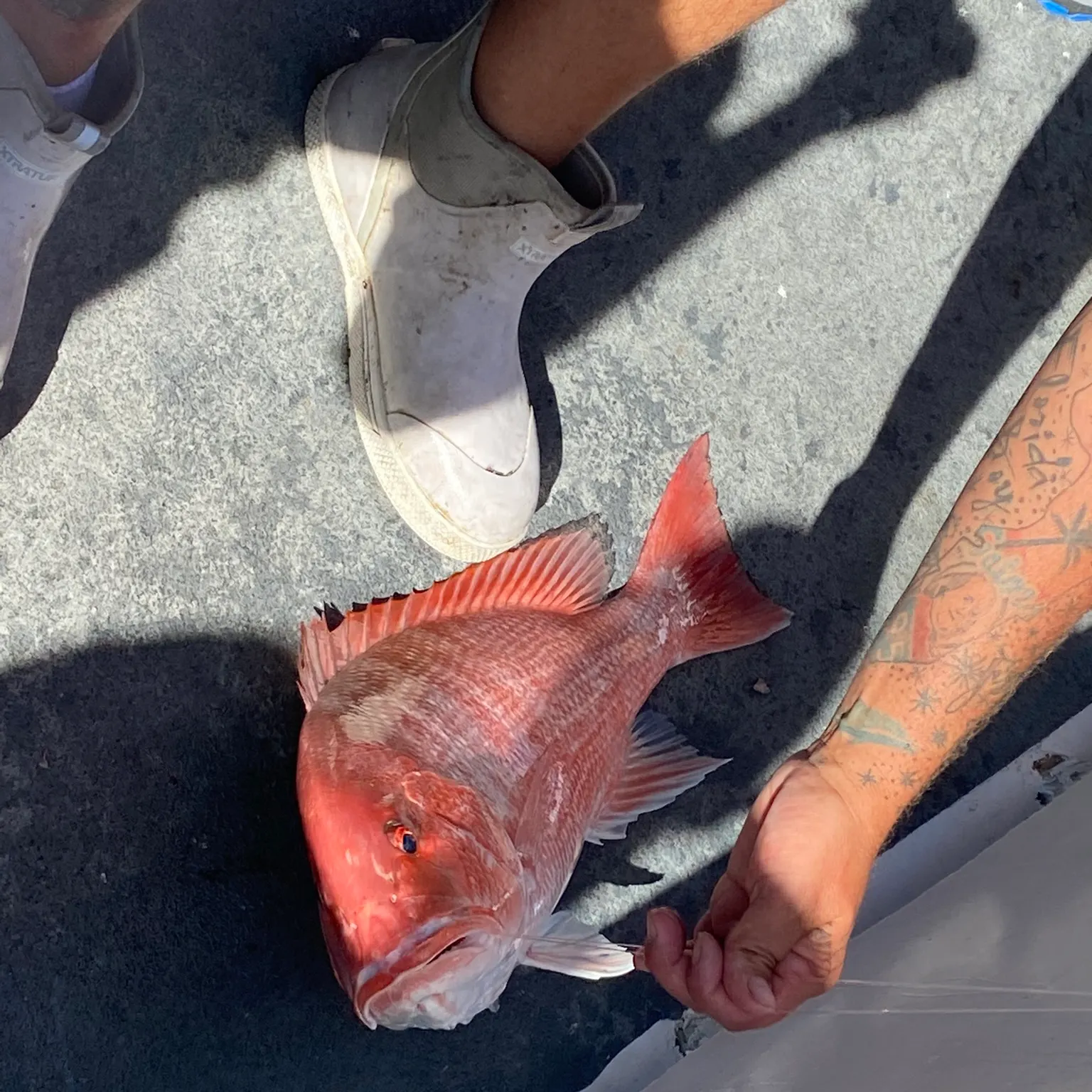 catch