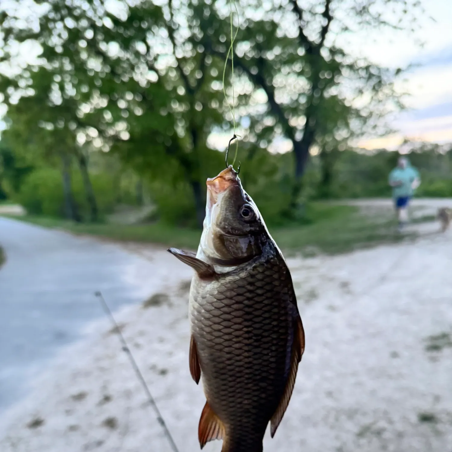 catch