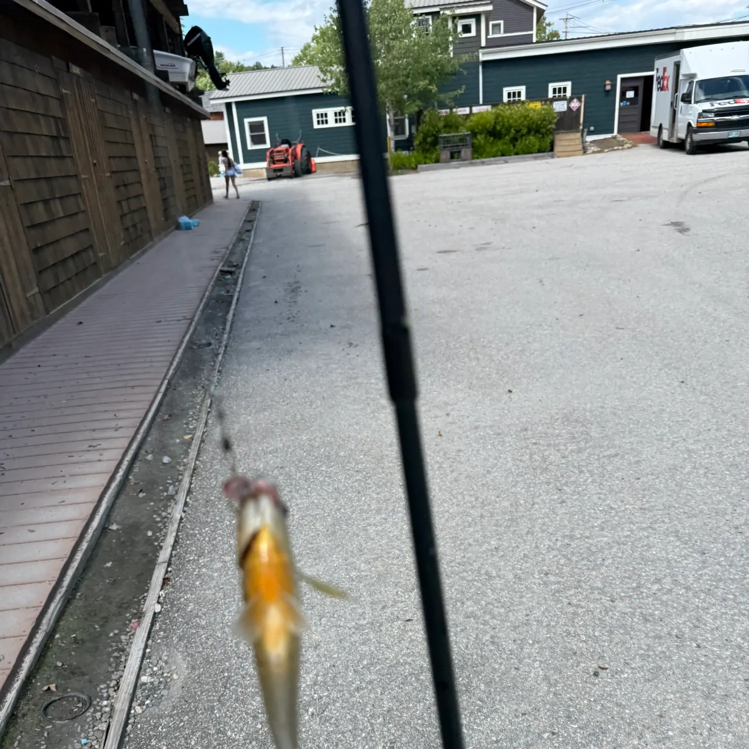Redbreast sunfish caught on Fishbrain