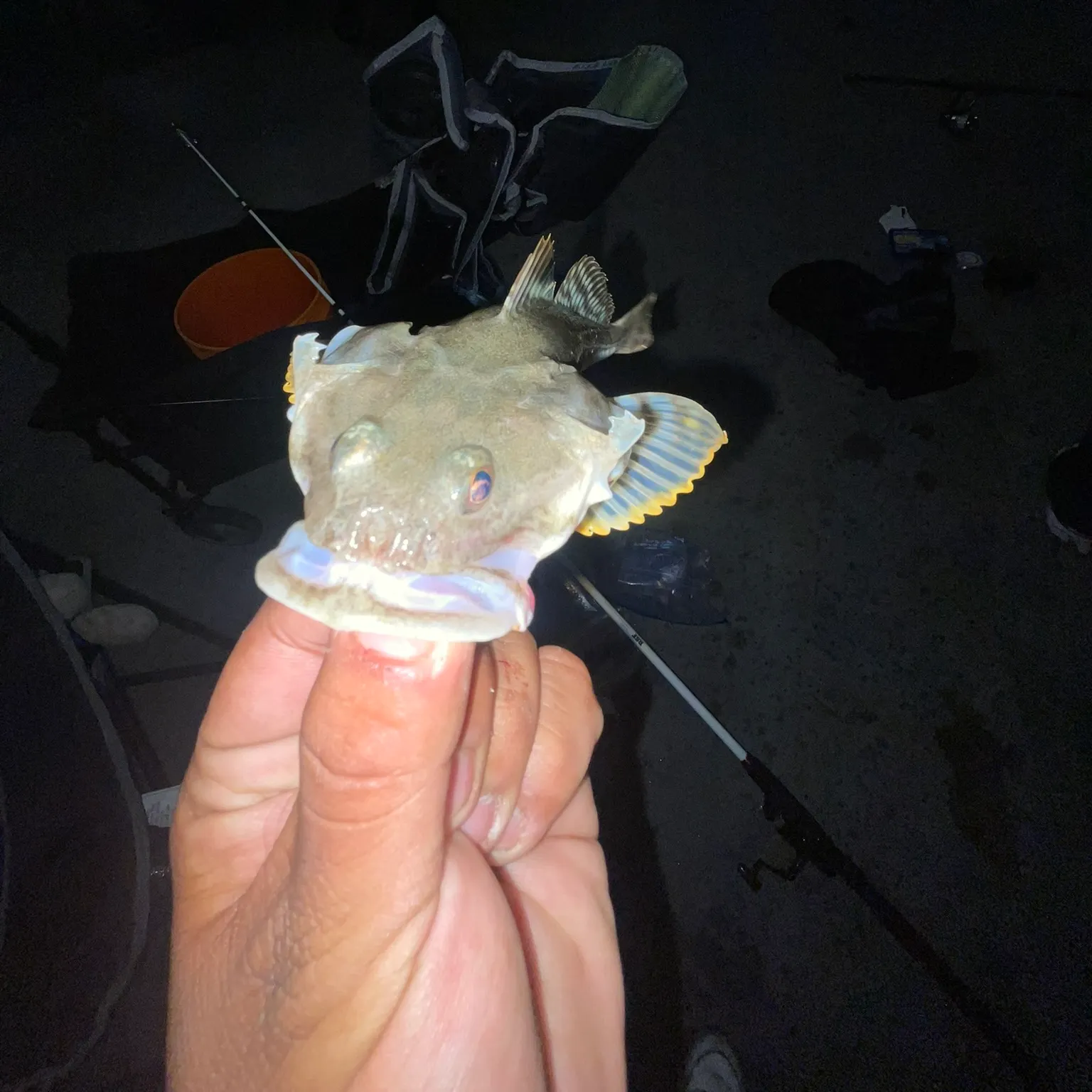 The most recent Pacific staghorn sculpin catches on Fishbrain