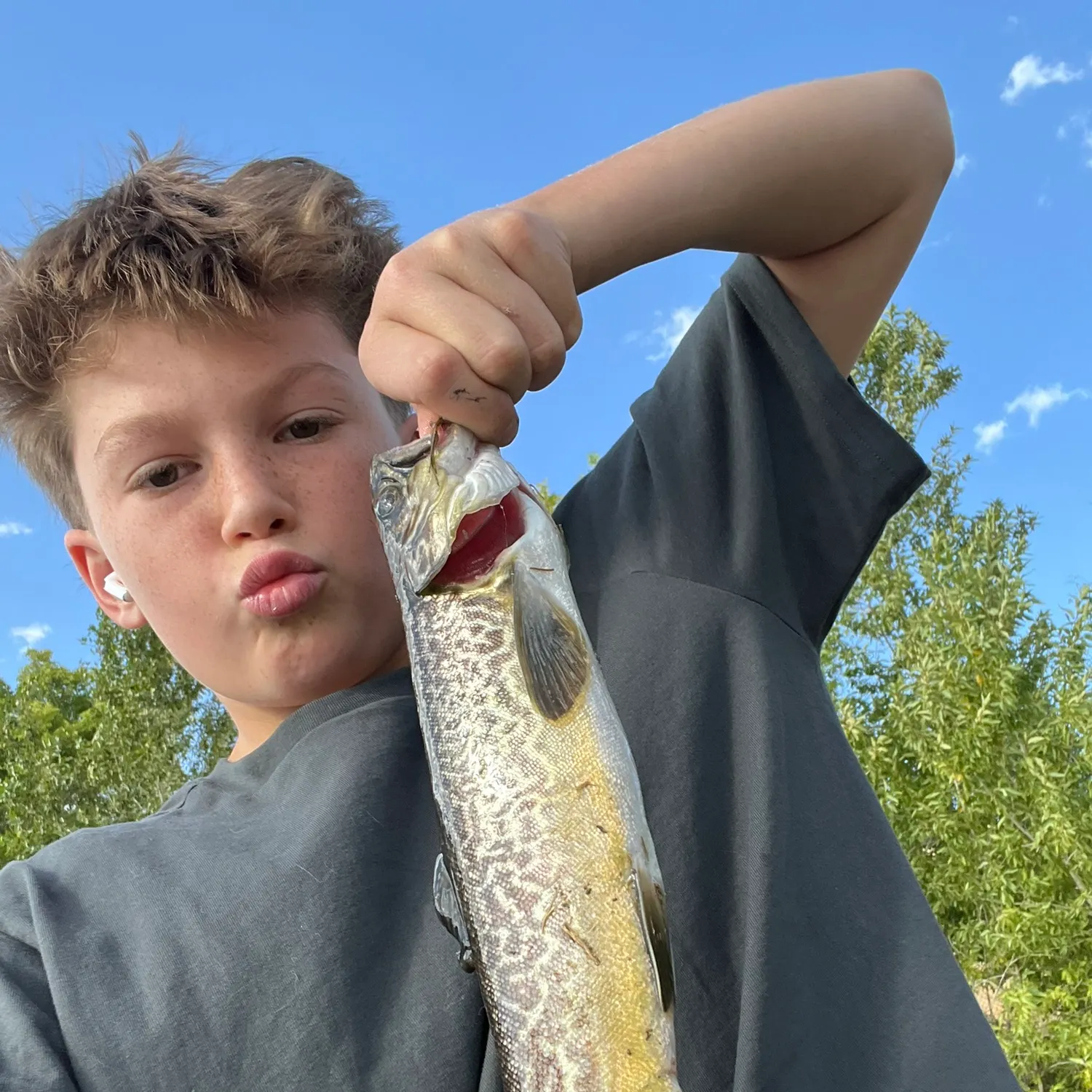 The most recent Tiger trout catches on Fishbrain