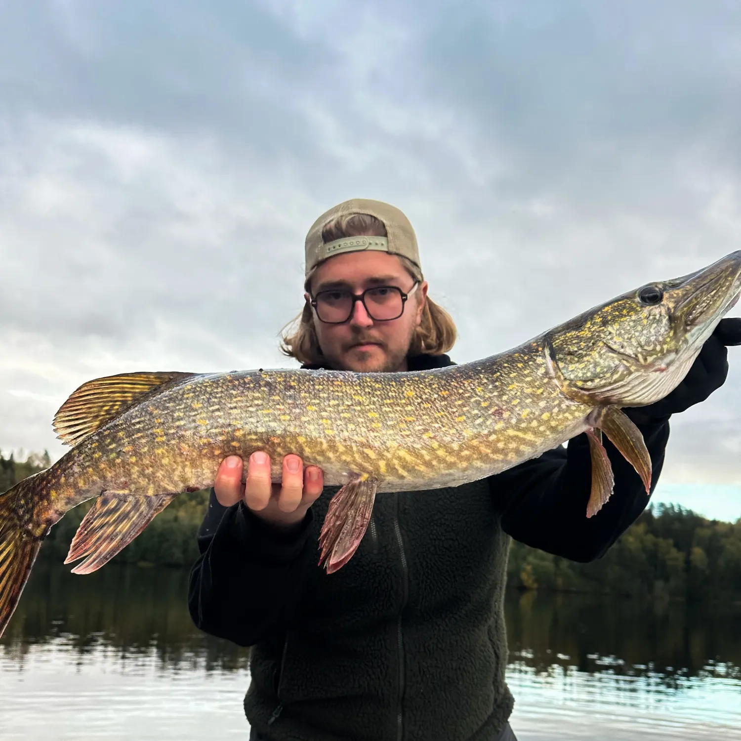 Northern pike caught on Fishbrain