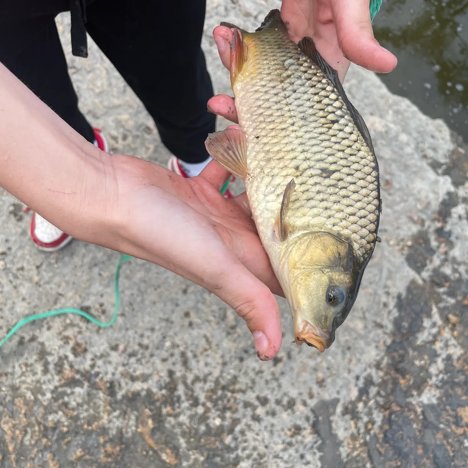 catch