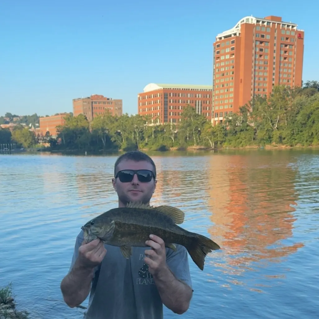Smallmouth bass caught on Fishbrain