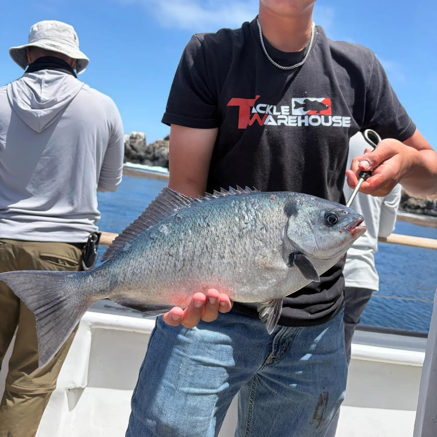 The most recent Halfmoon catches on Fishbrain