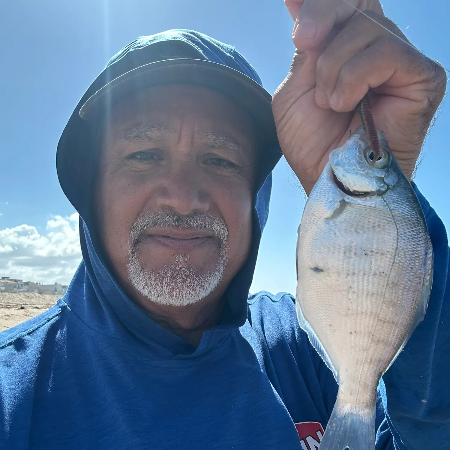 The most recent Walleye surfperch catches on Fishbrain