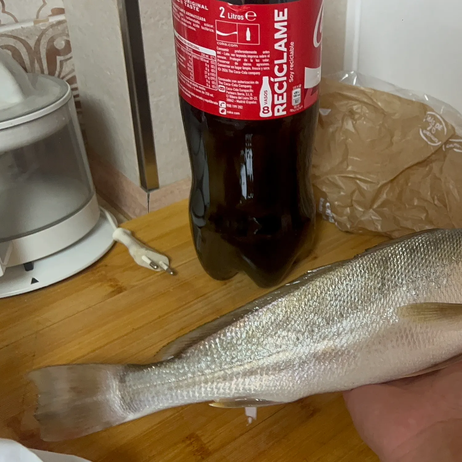 Meagre caught on Fishbrain