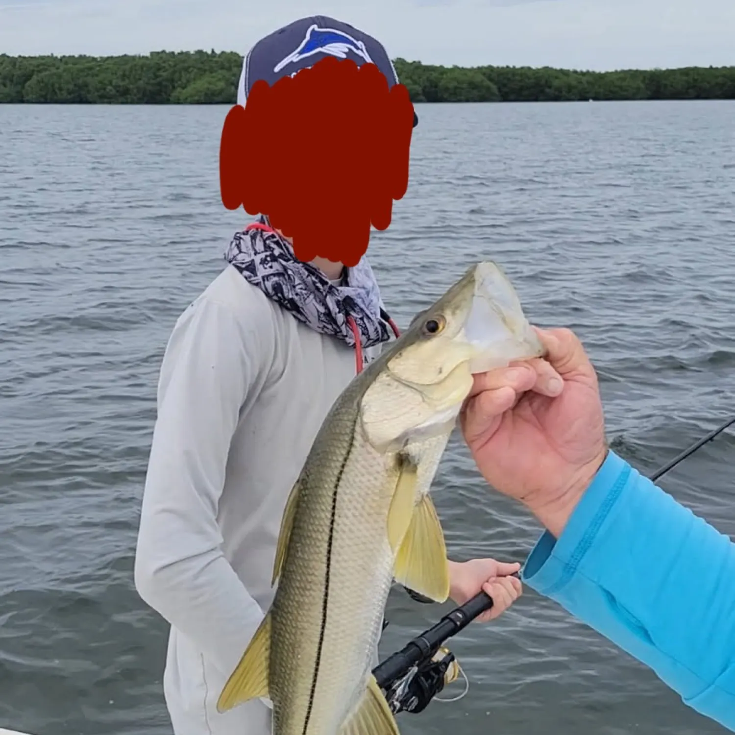 The most recent Fat snook catches on Fishbrain