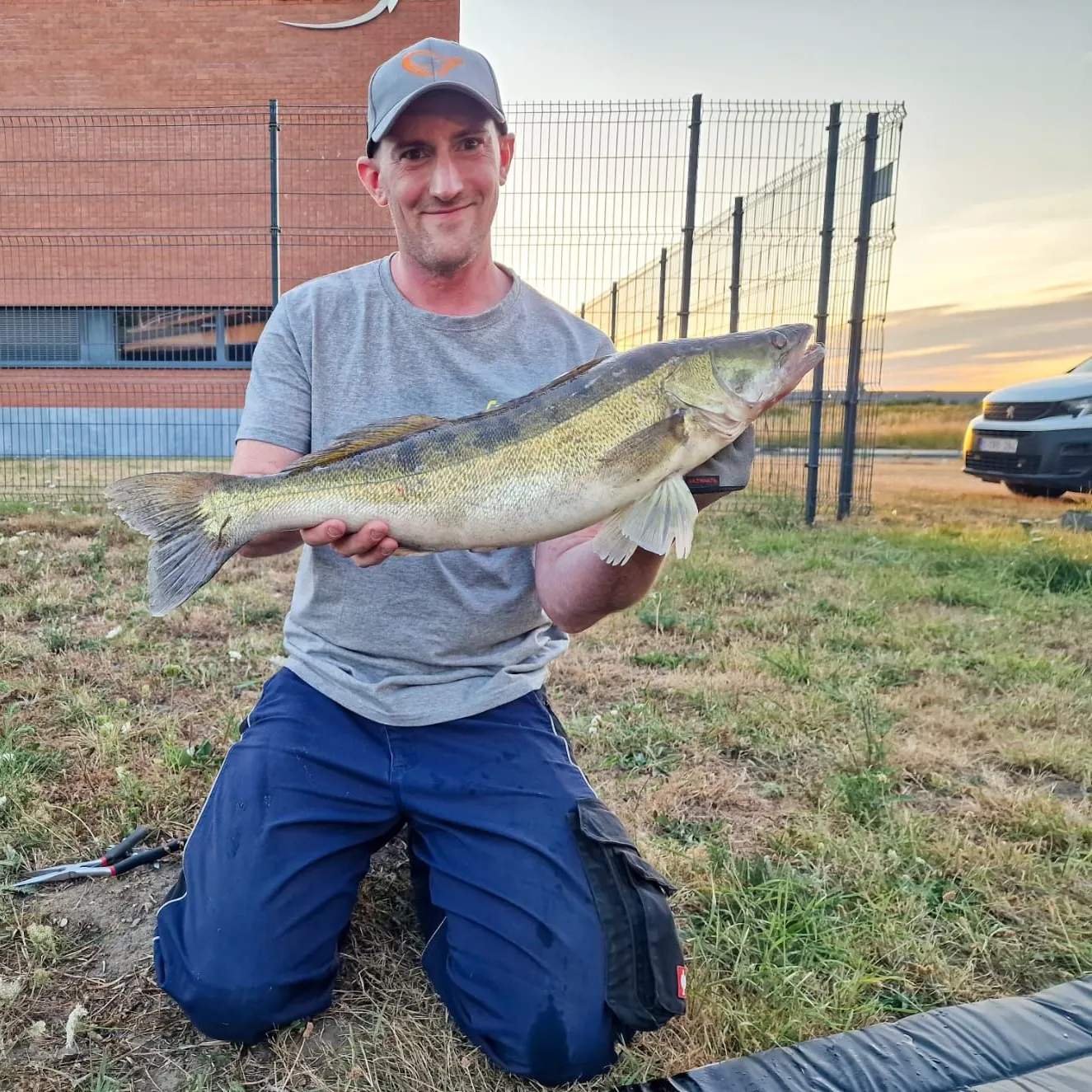 Zander caught on Fishbrain