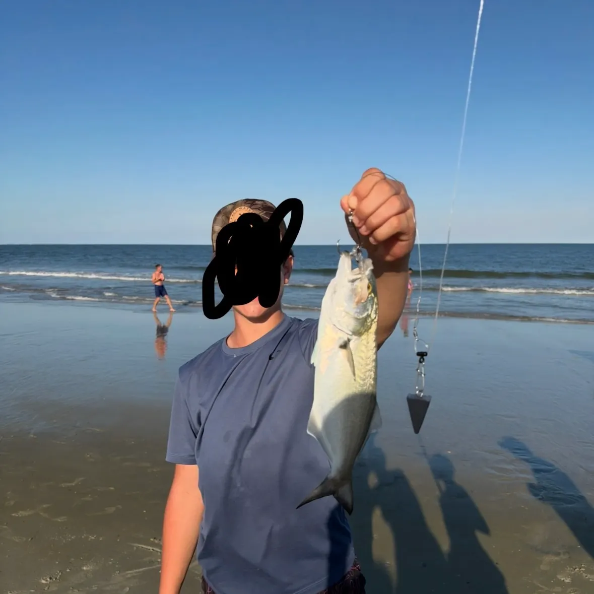 Bluefish caught on Fishbrain