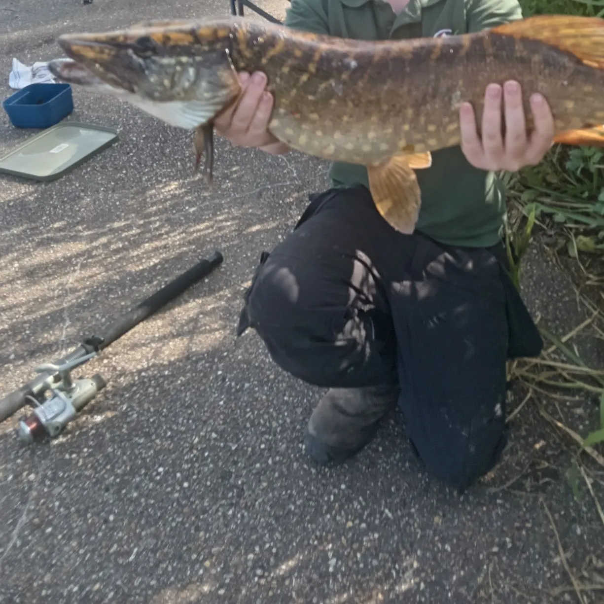 catch