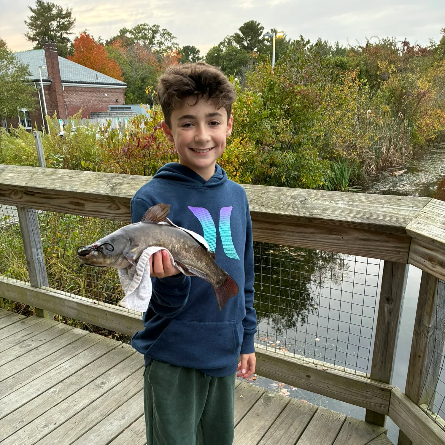 Channel catfish caught on Fishbrain
