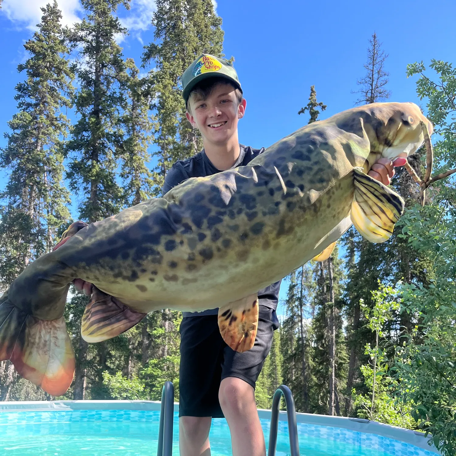 The most recent Redtail catfish catches on Fishbrain