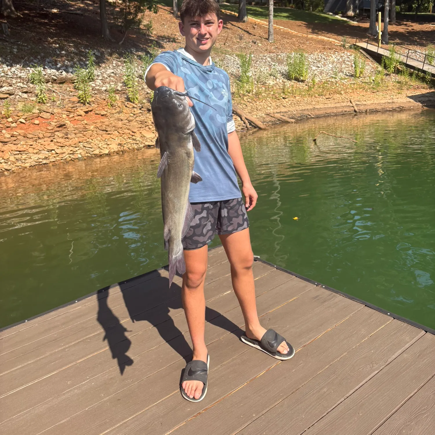 Channel catfish caught on Fishbrain