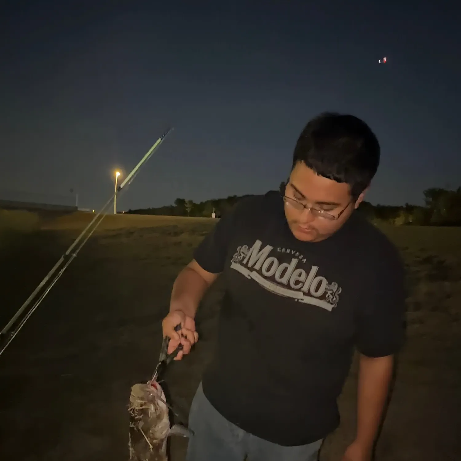 Channel catfish caught on Fishbrain