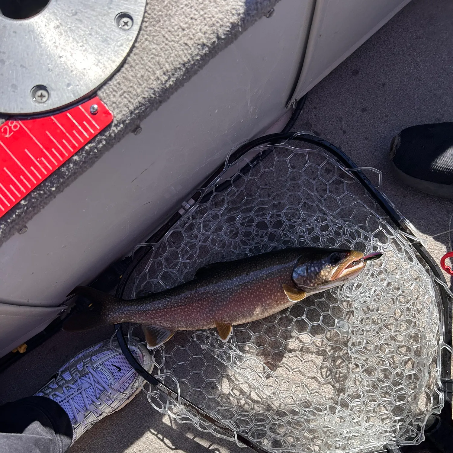 The most recent Lake char catches on Fishbrain