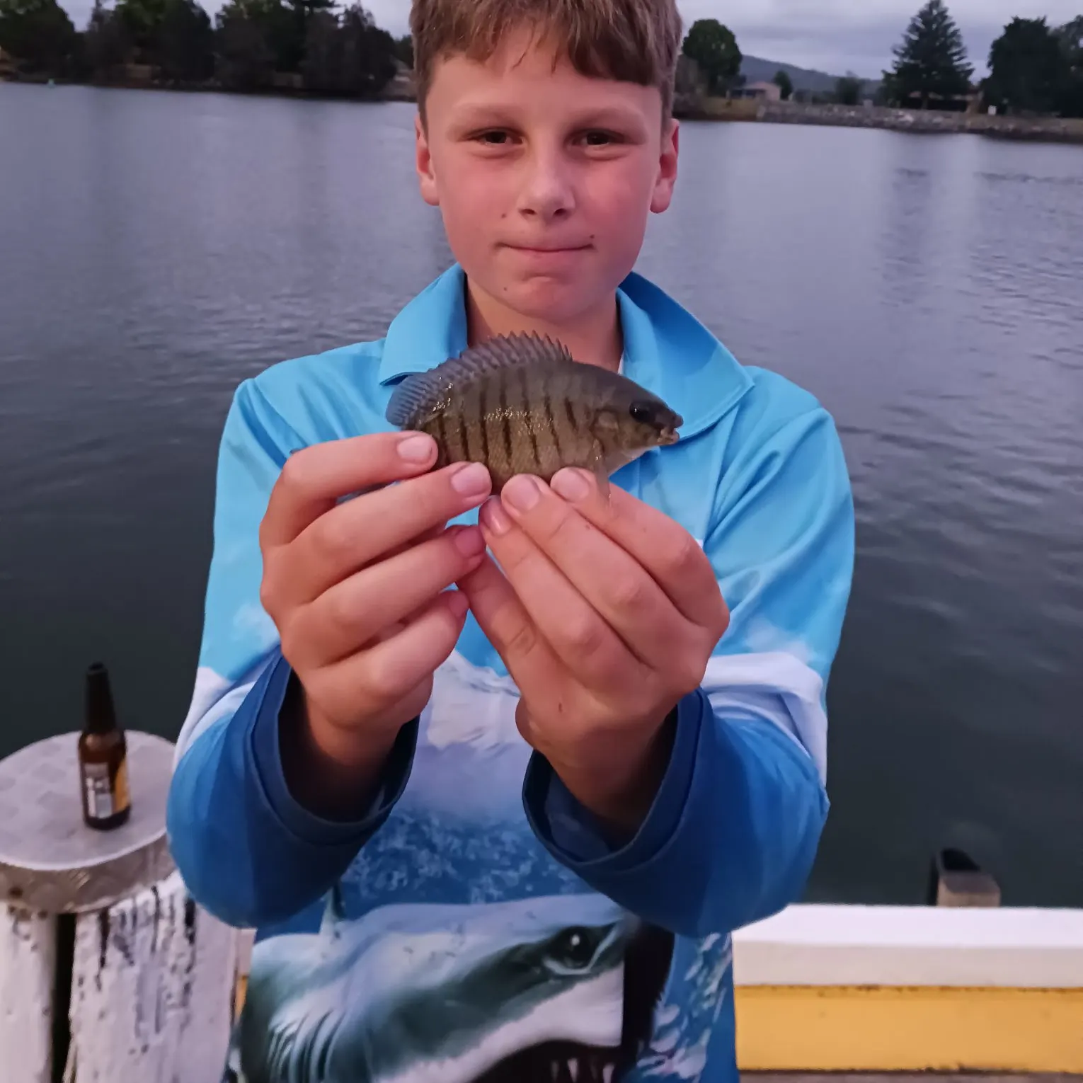 The most recent Luderick catches on Fishbrain