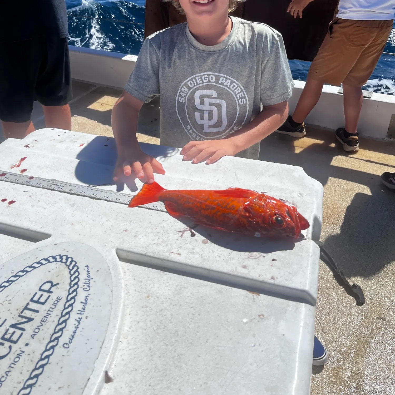 The most recent Norway redfish catches on Fishbrain