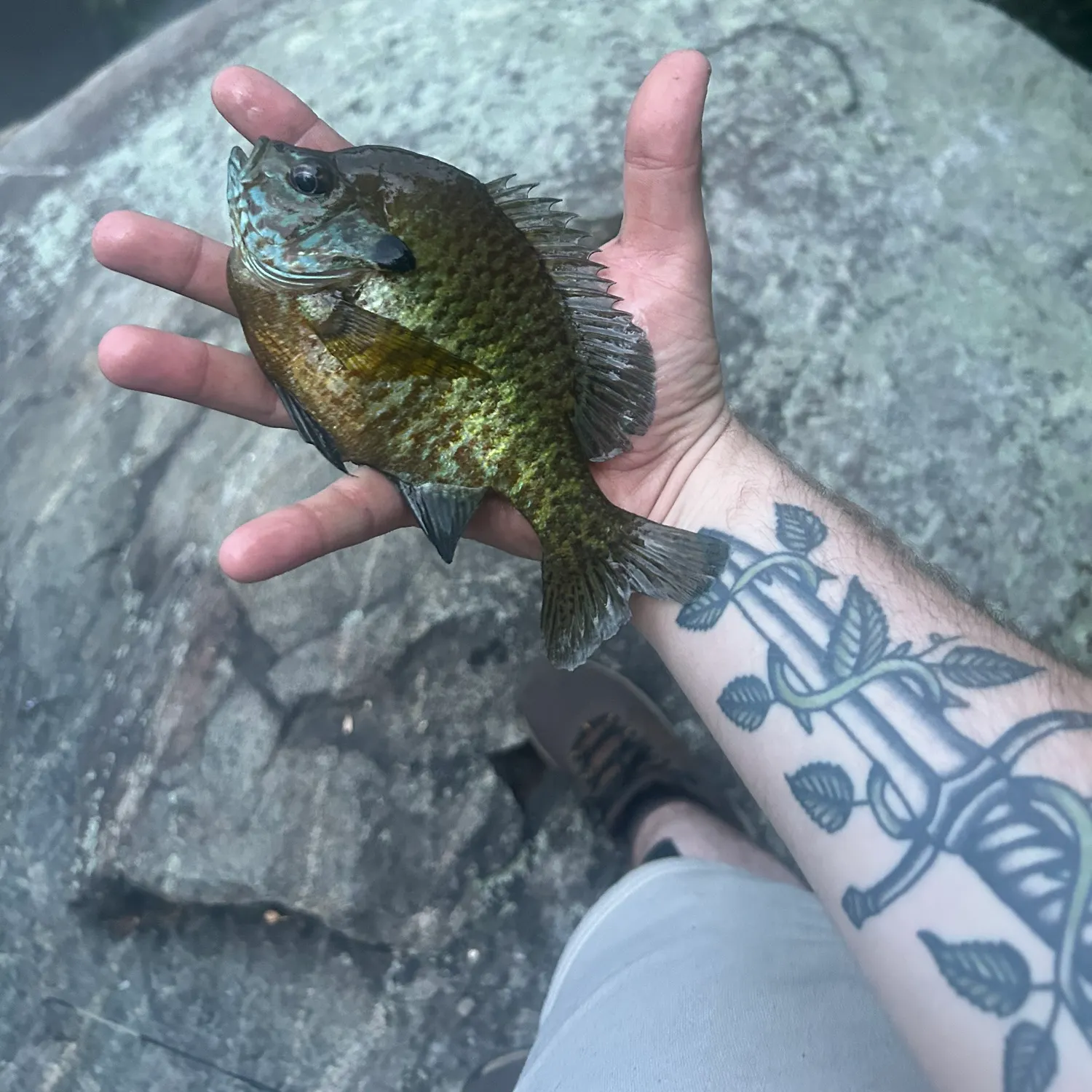 catch