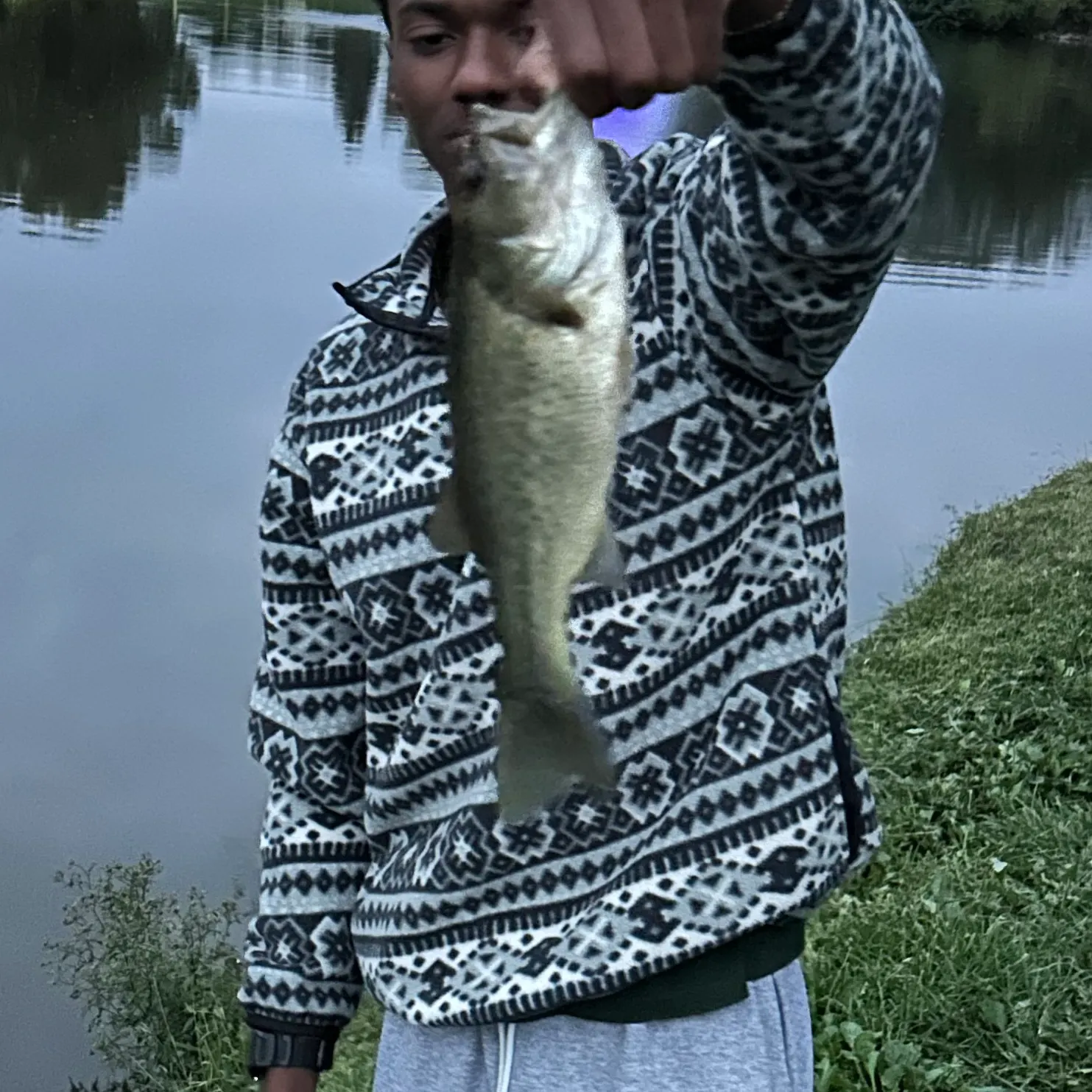 Largemouth bass caught on Fishbrain