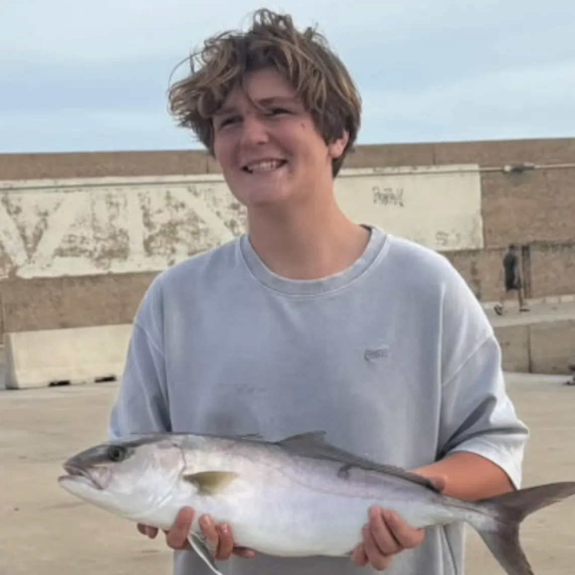 Greater amberjack caught on Fishbrain
