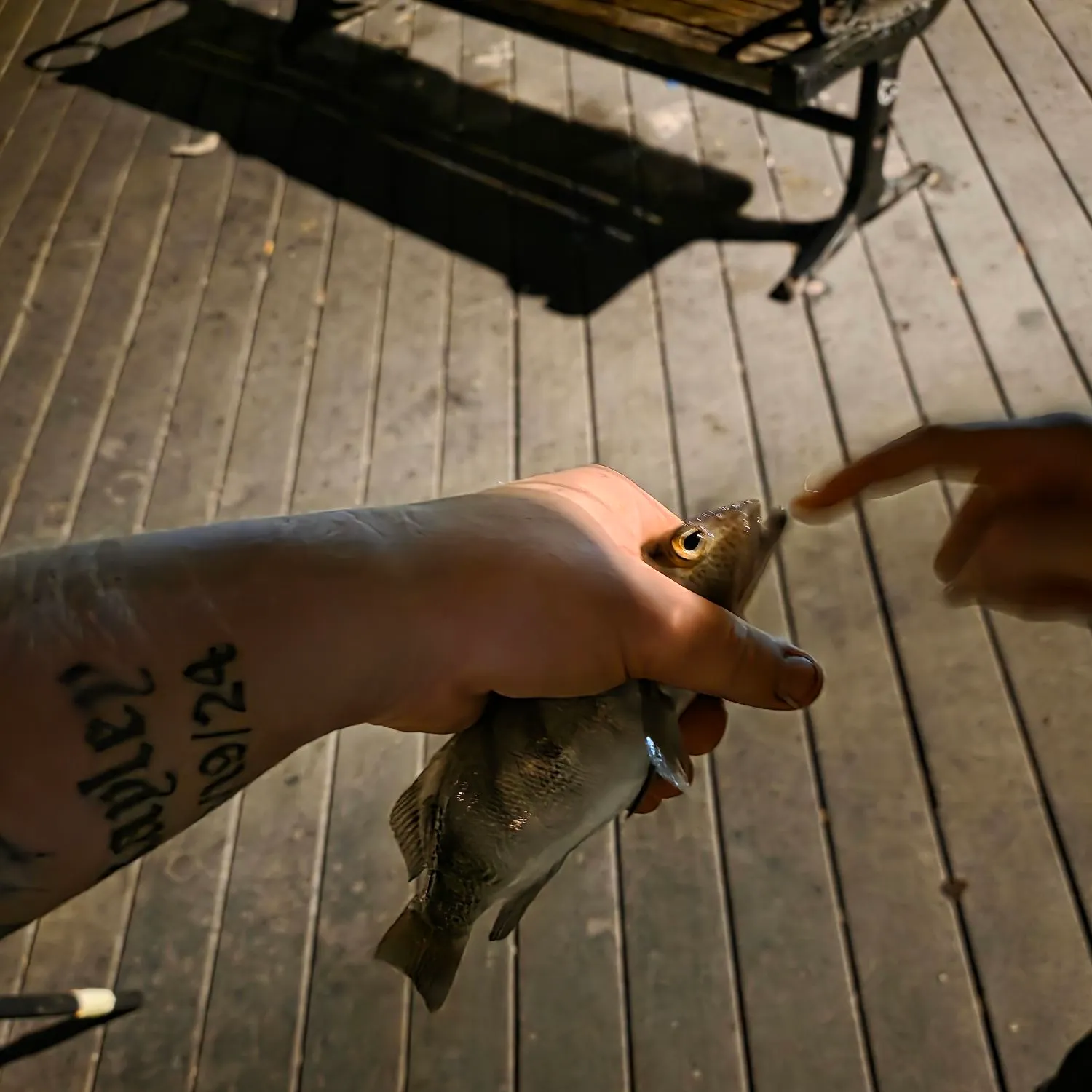 catch