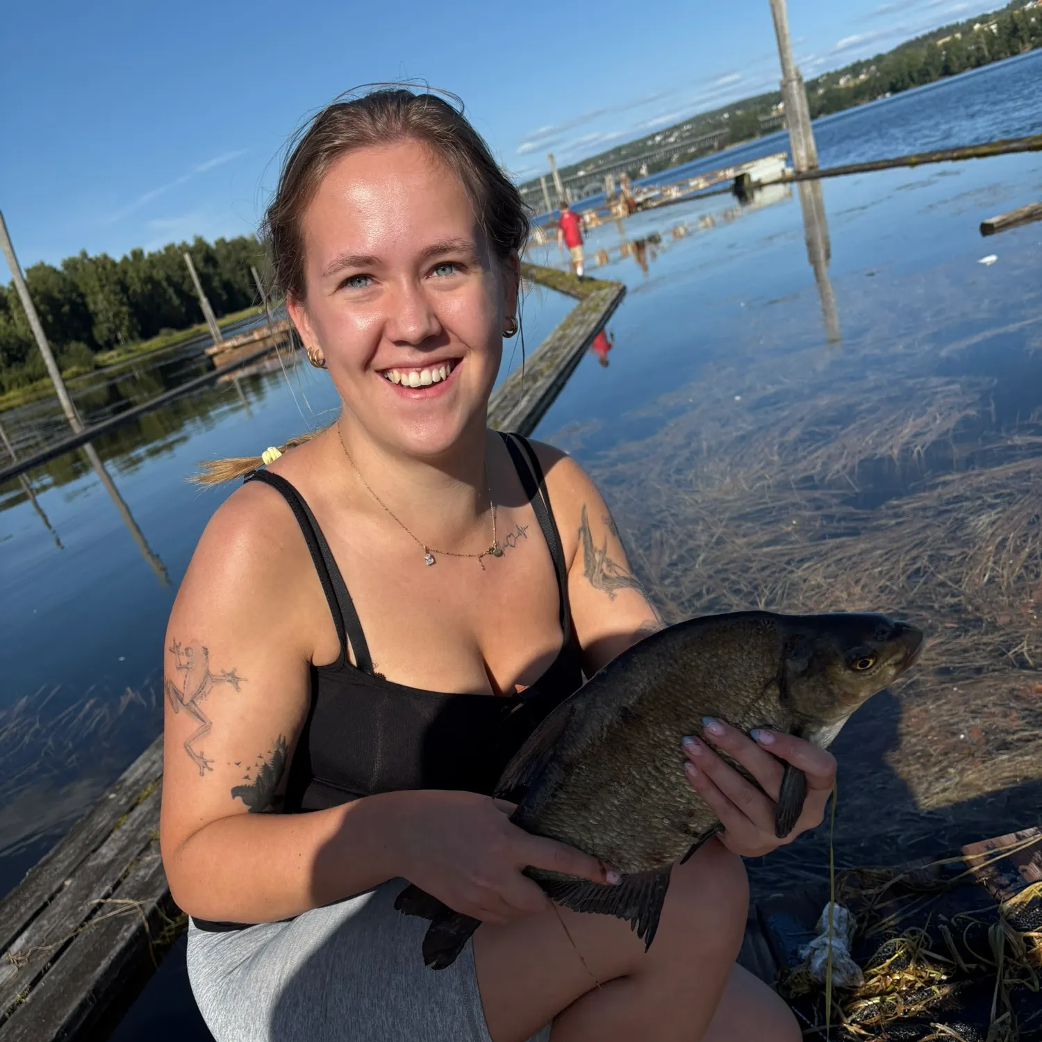 Common bream caught on Fishbrain