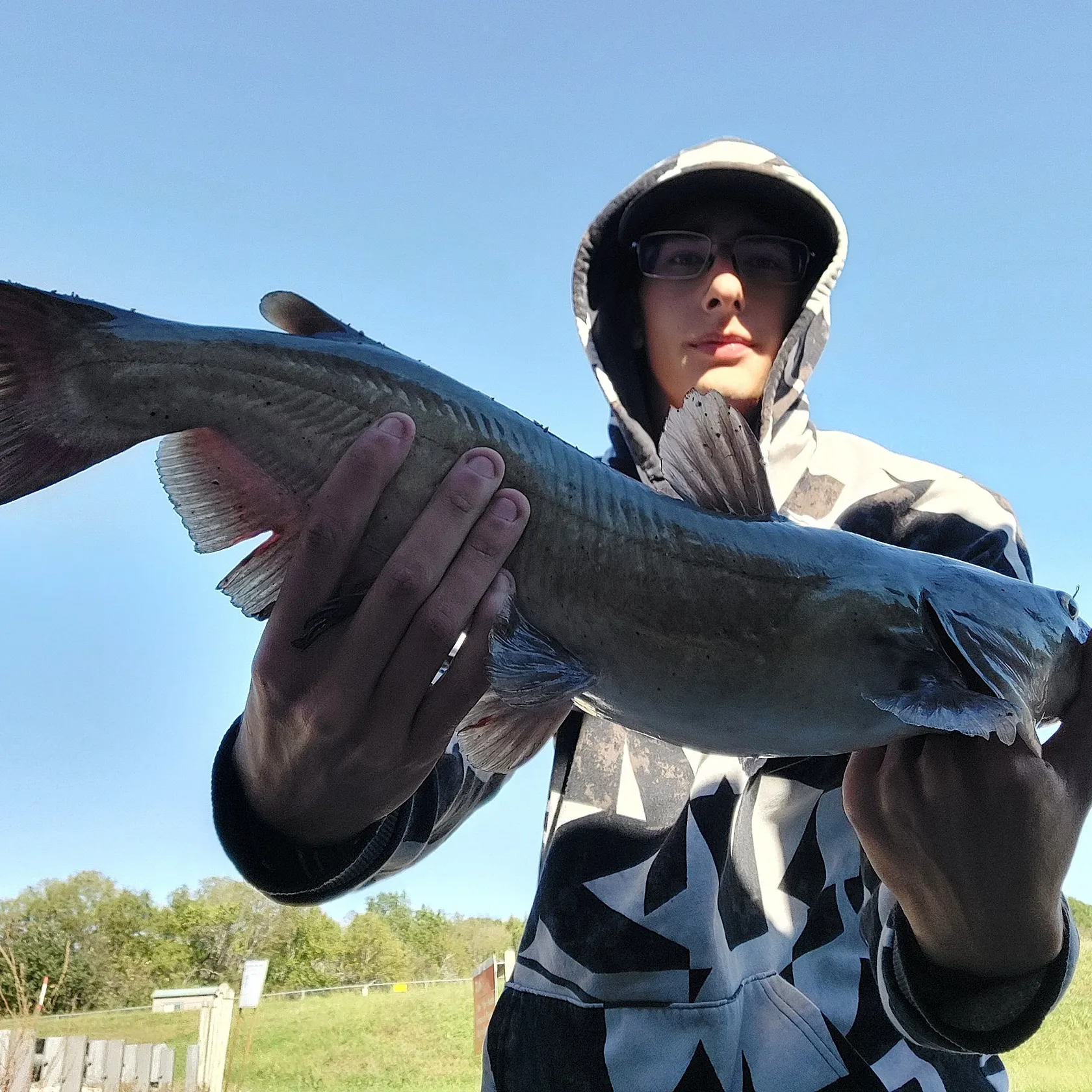 Channel catfish caught on Fishbrain