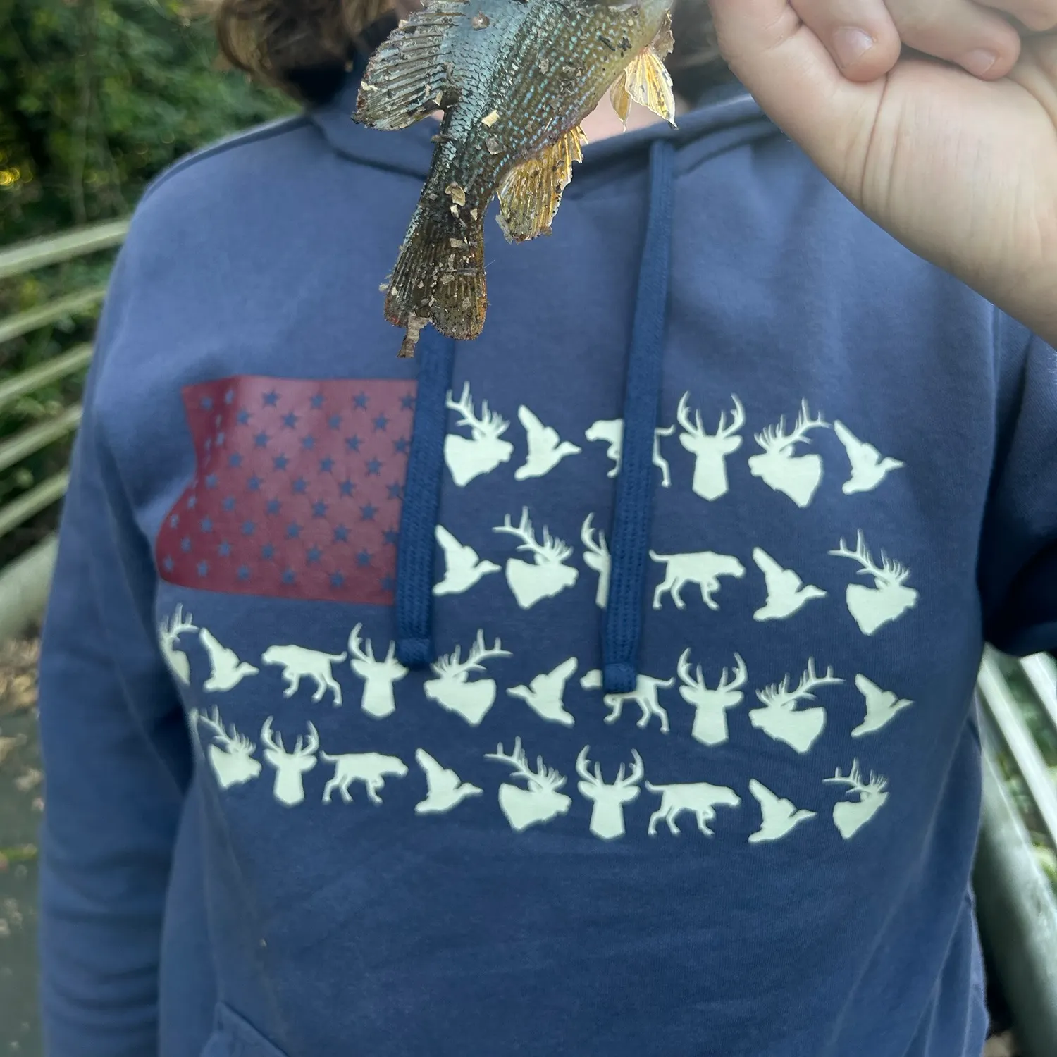 Green sunfish caught on Fishbrain