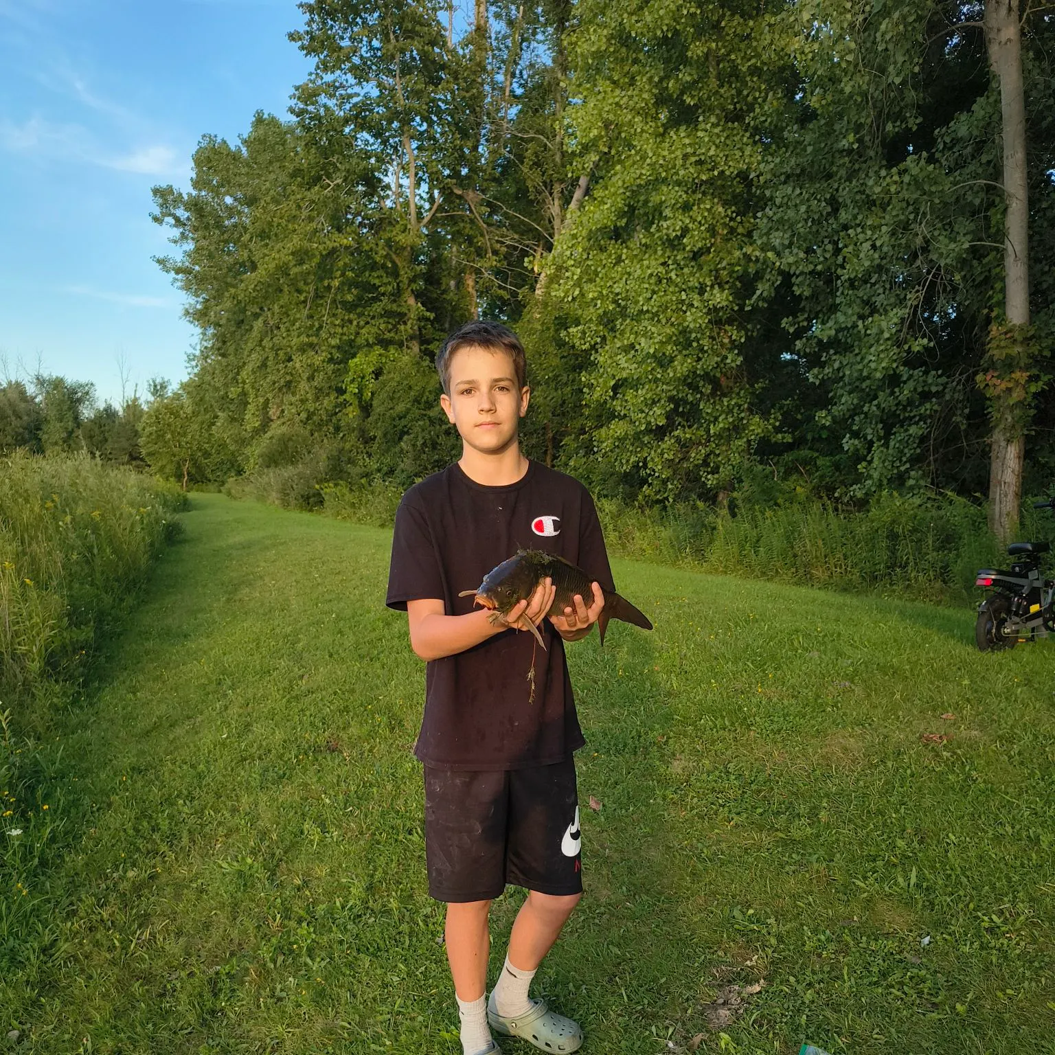 Common carp caught on Fishbrain