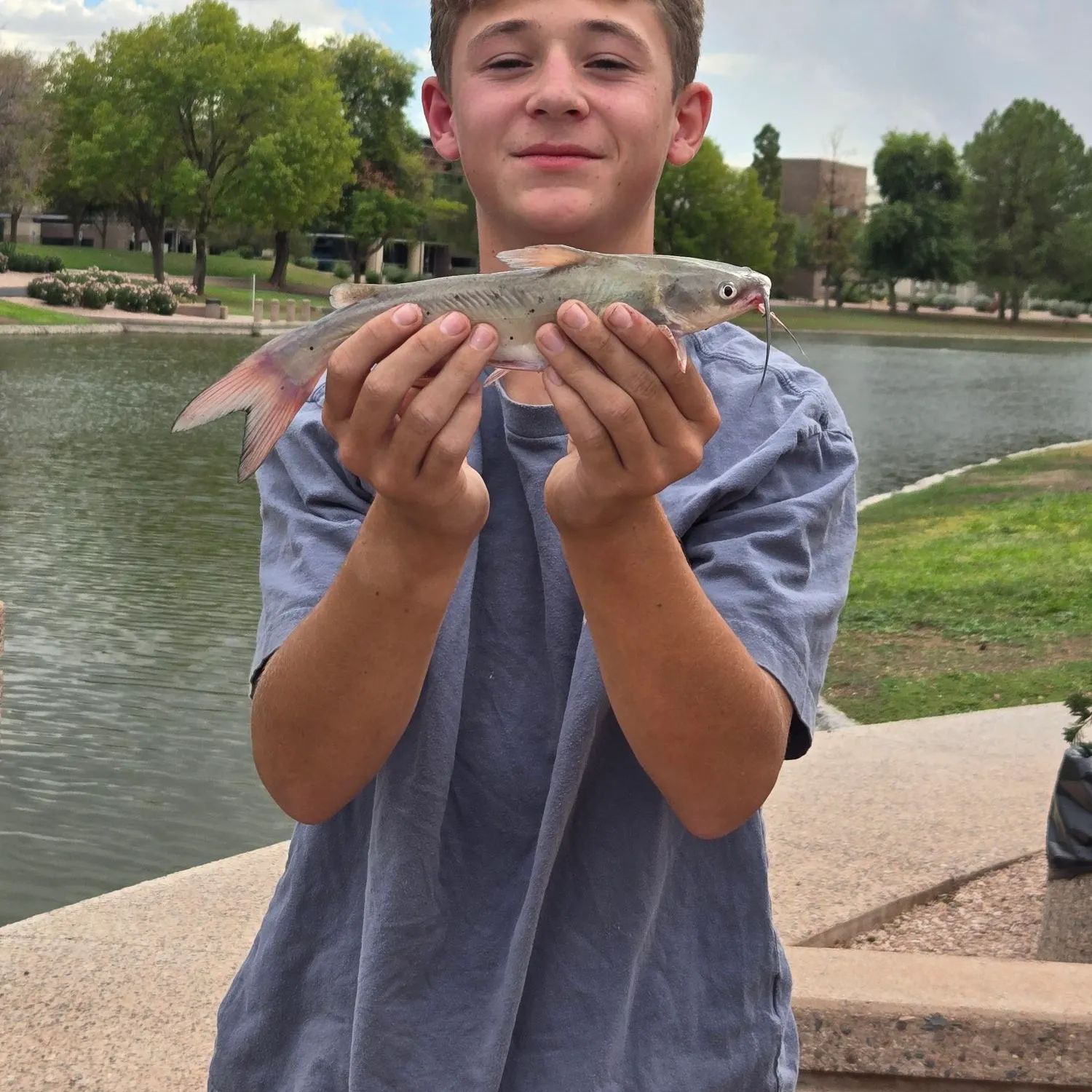 Channel catfish caught on Fishbrain