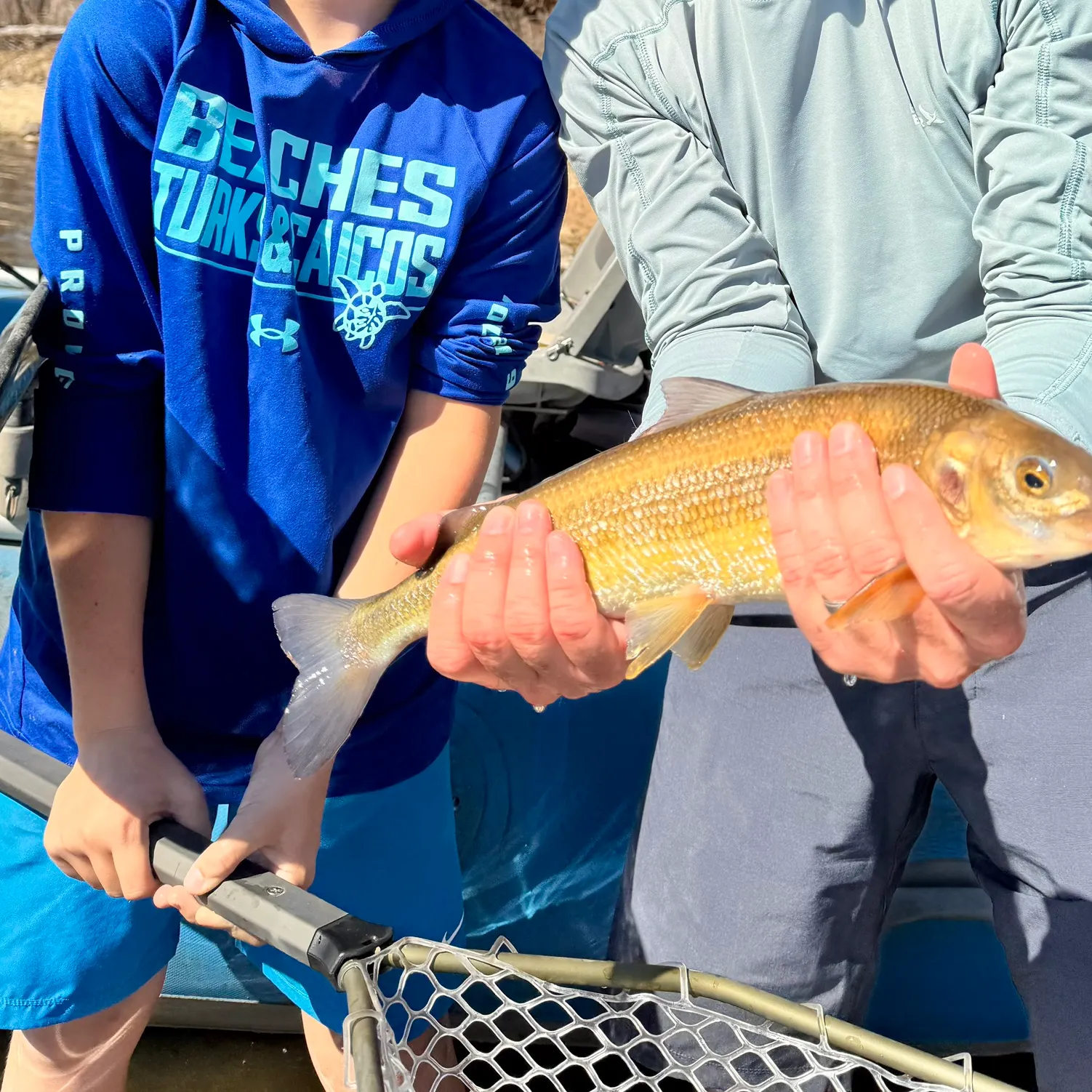 The most recent Whiting catches on Fishbrain