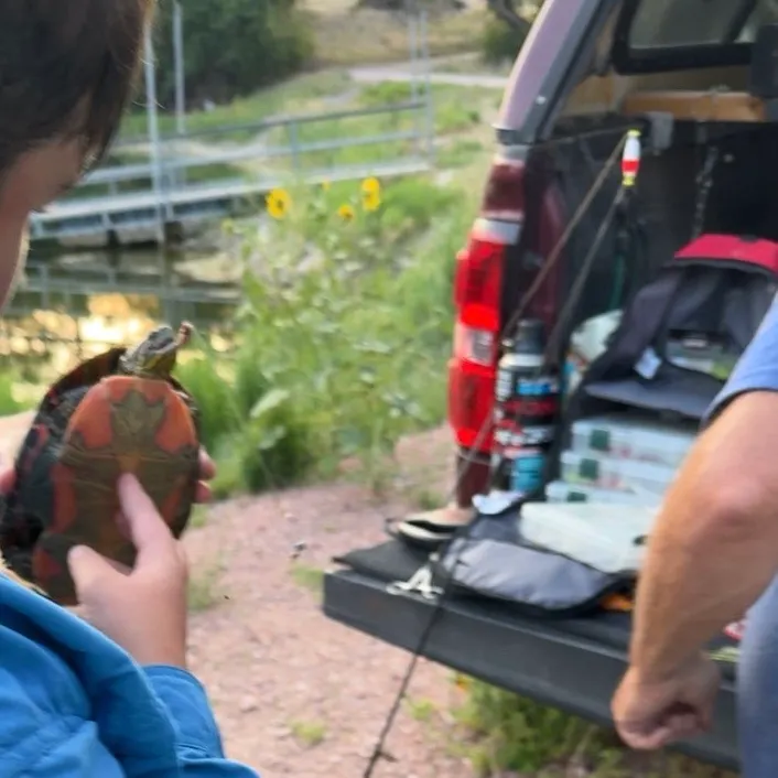 Painted turtle caught on Fishbrain