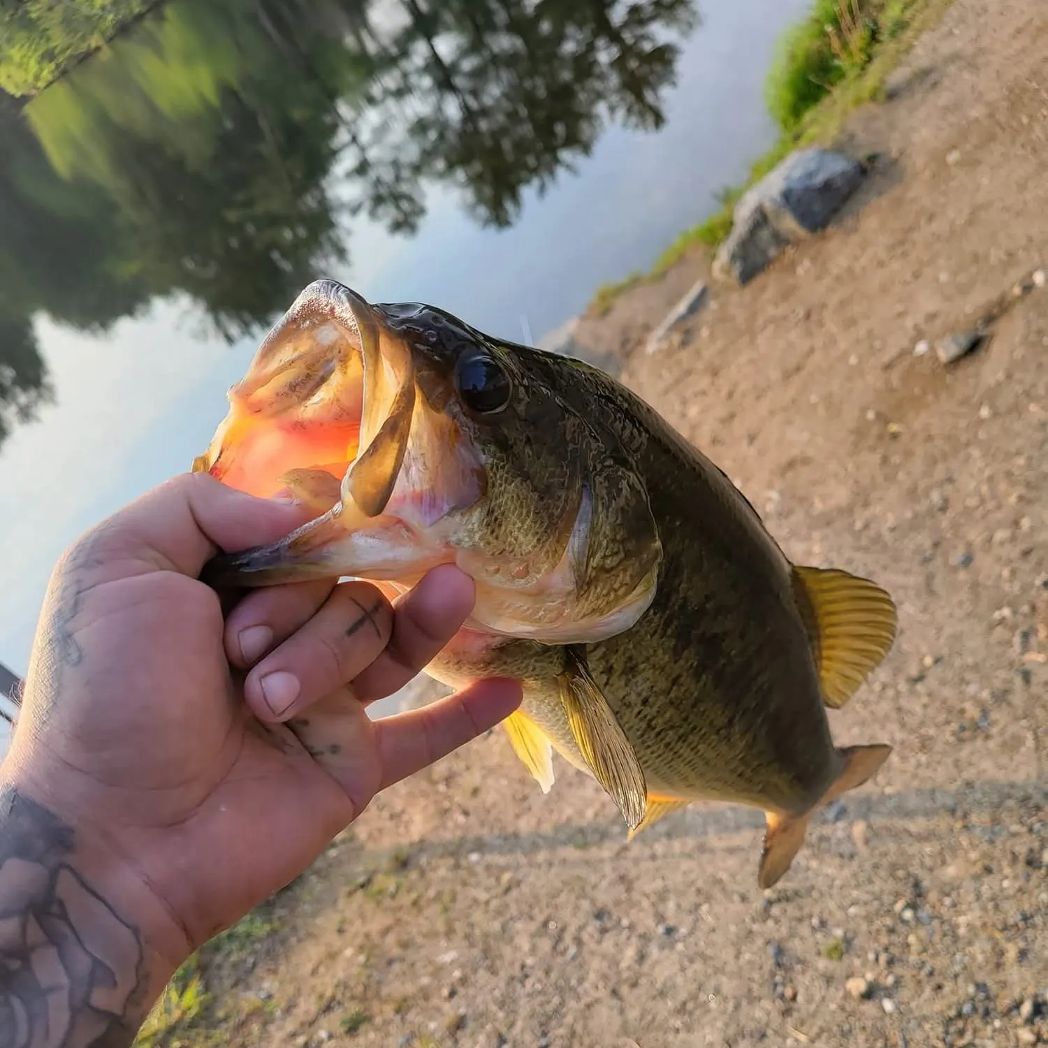 catch