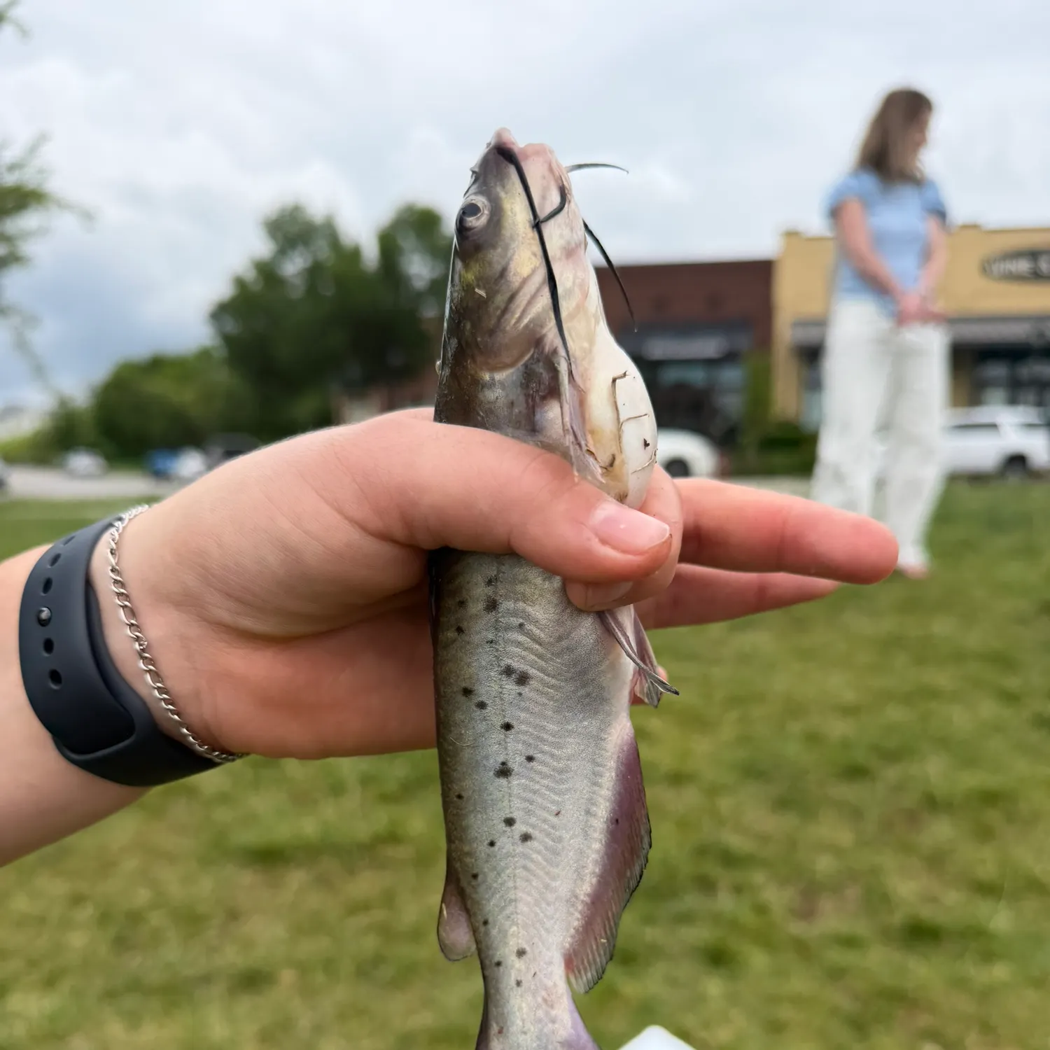 catch