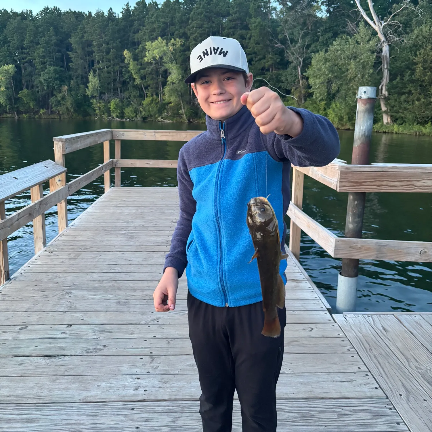 Yellow bullhead caught on Fishbrain
