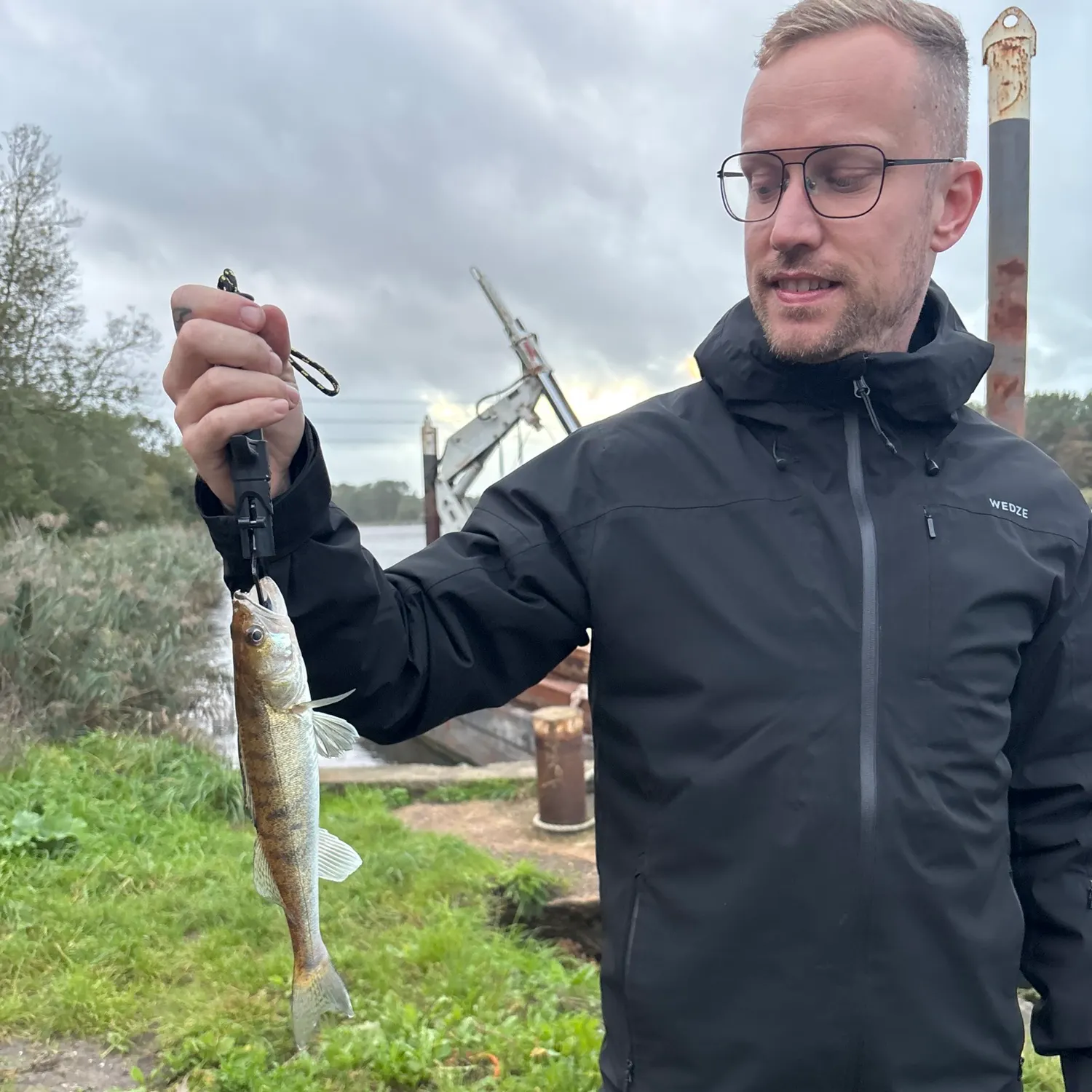 Zander caught on Fishbrain