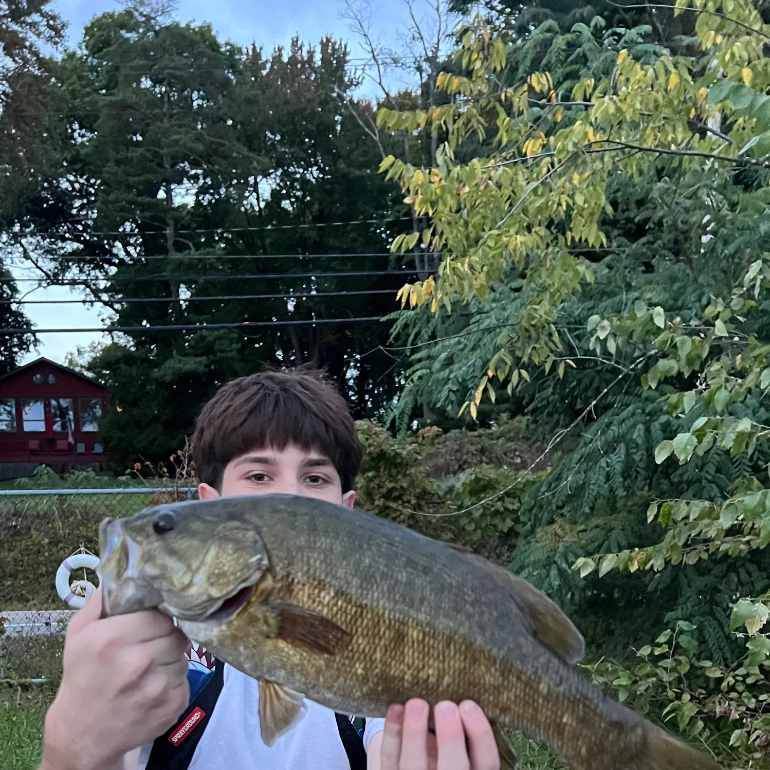 Smallmouth bass caught on Fishbrain