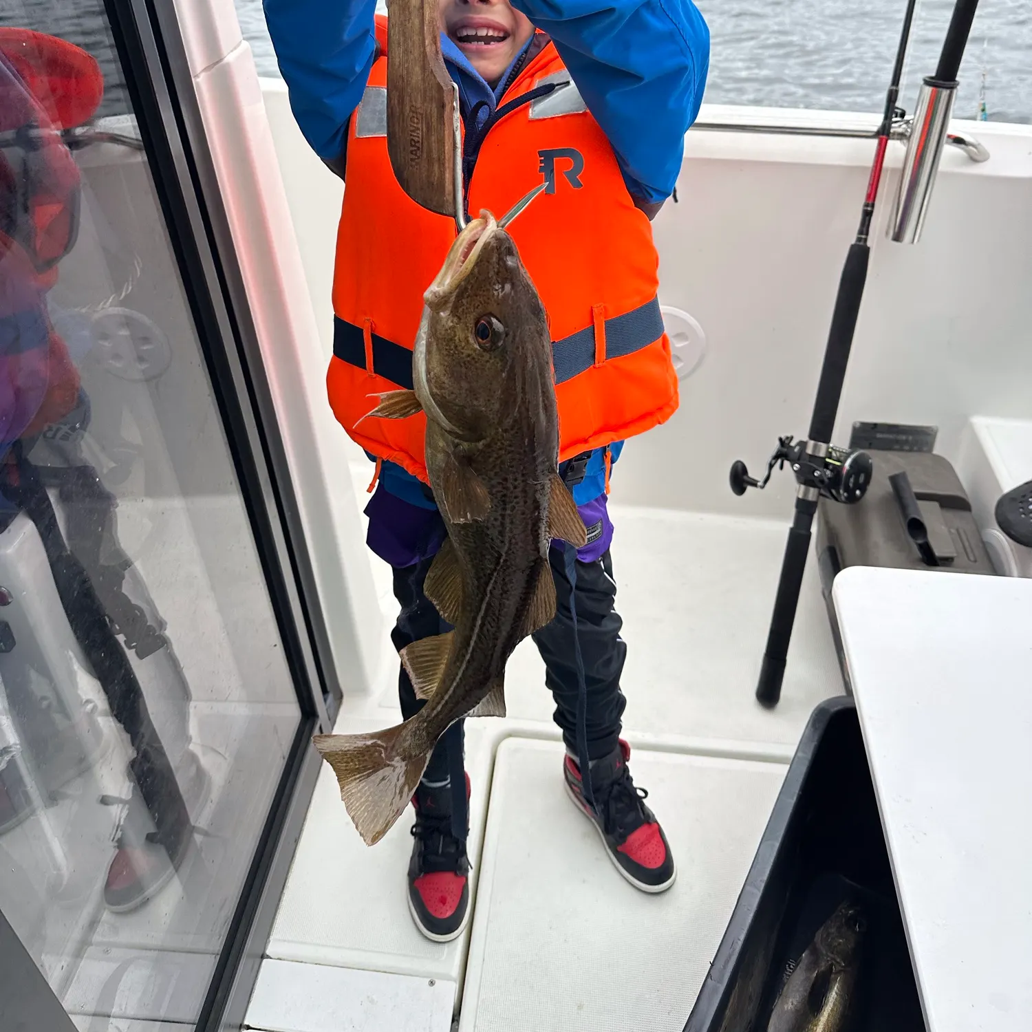 Atlantic cod caught on Fishbrain