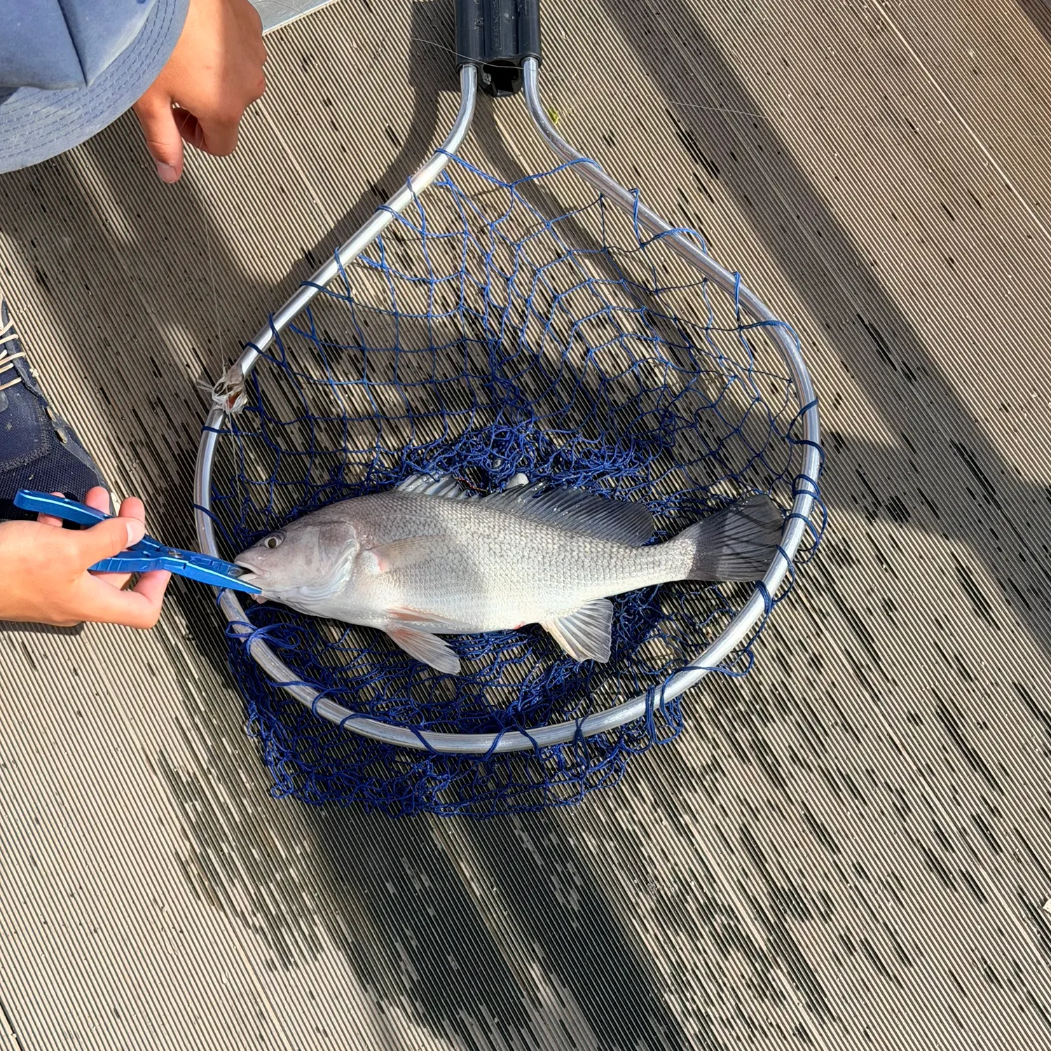 catch