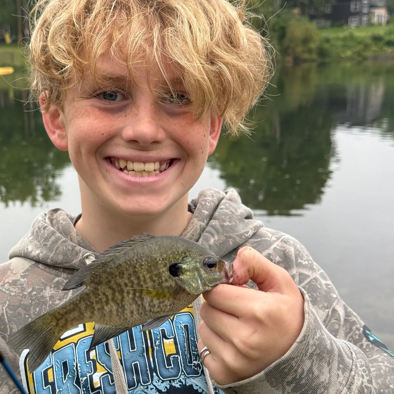 Bluegill caught on Fishbrain