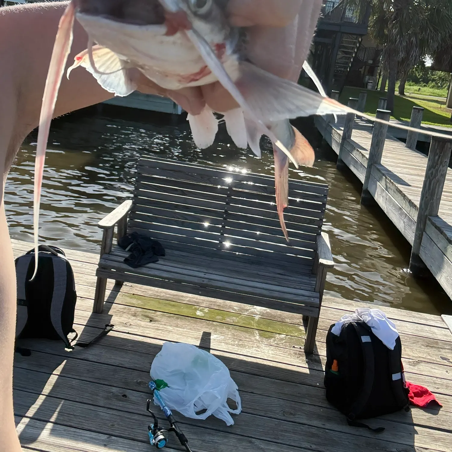 catch