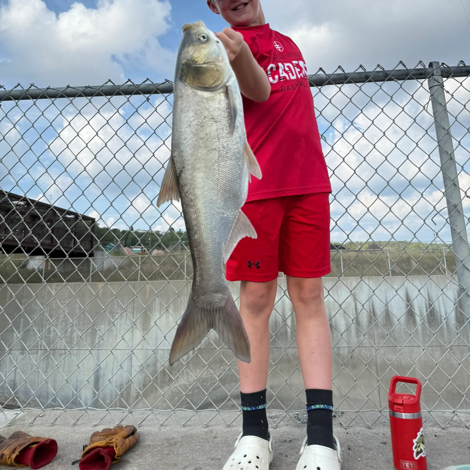 Silver carp caught on Fishbrain
