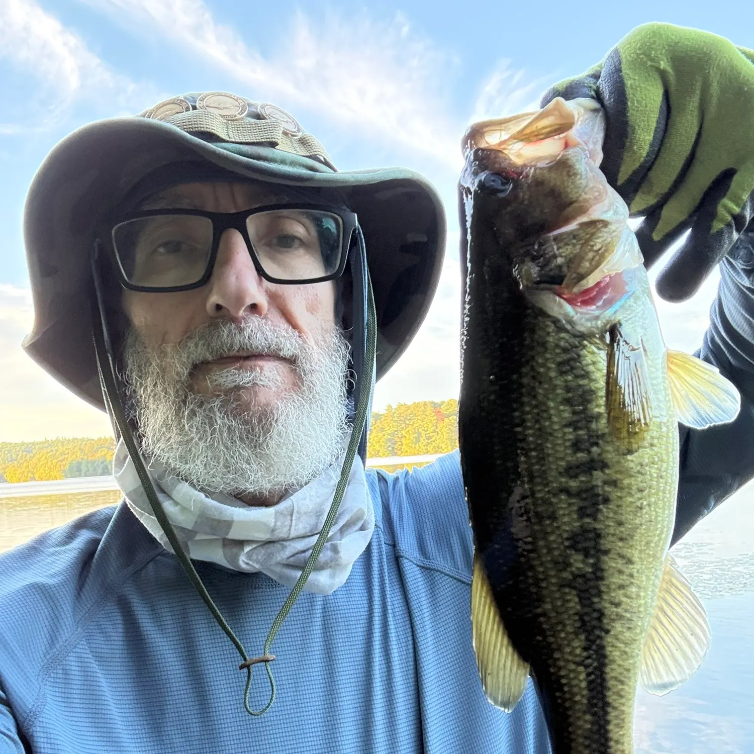 Largemouth bass caught on Fishbrain