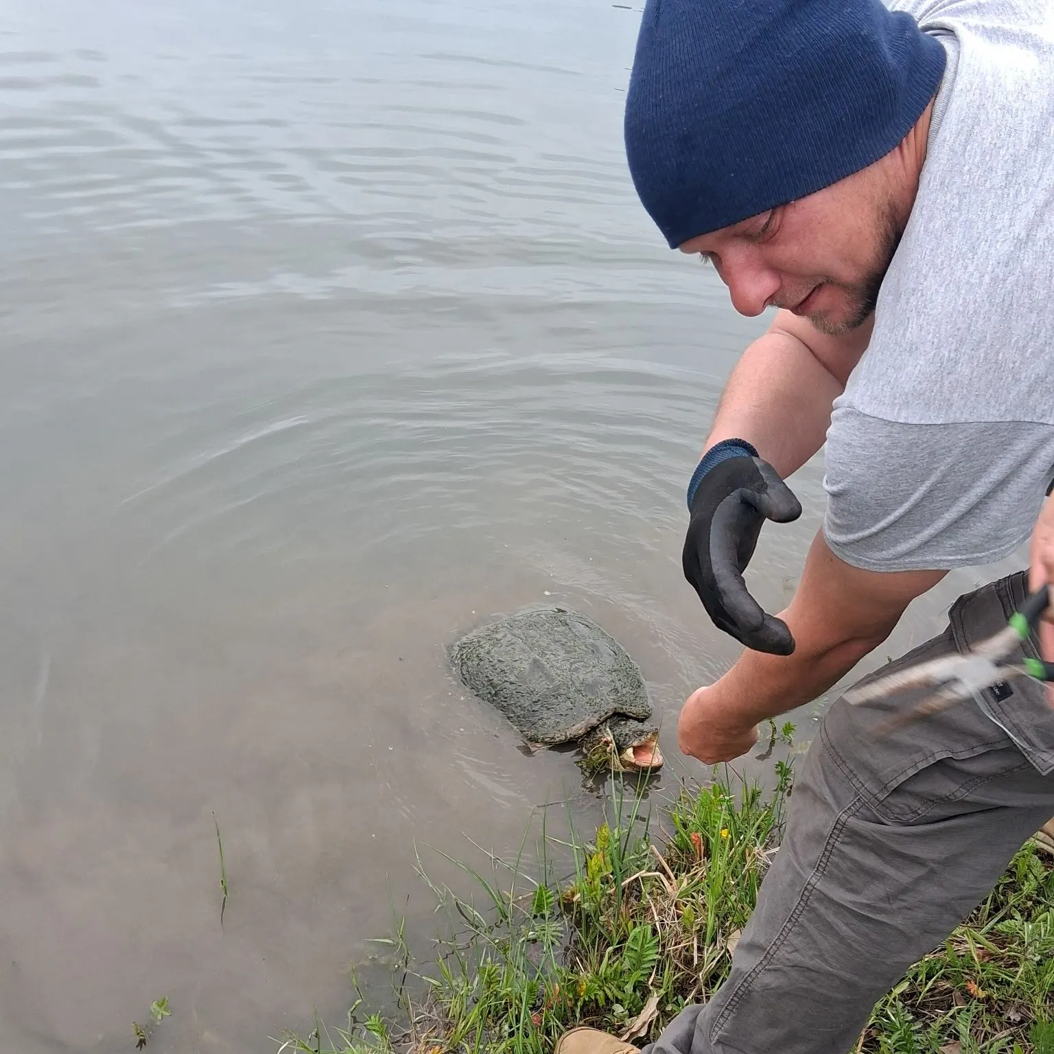 Common snapping turtle caught on Fishbrain