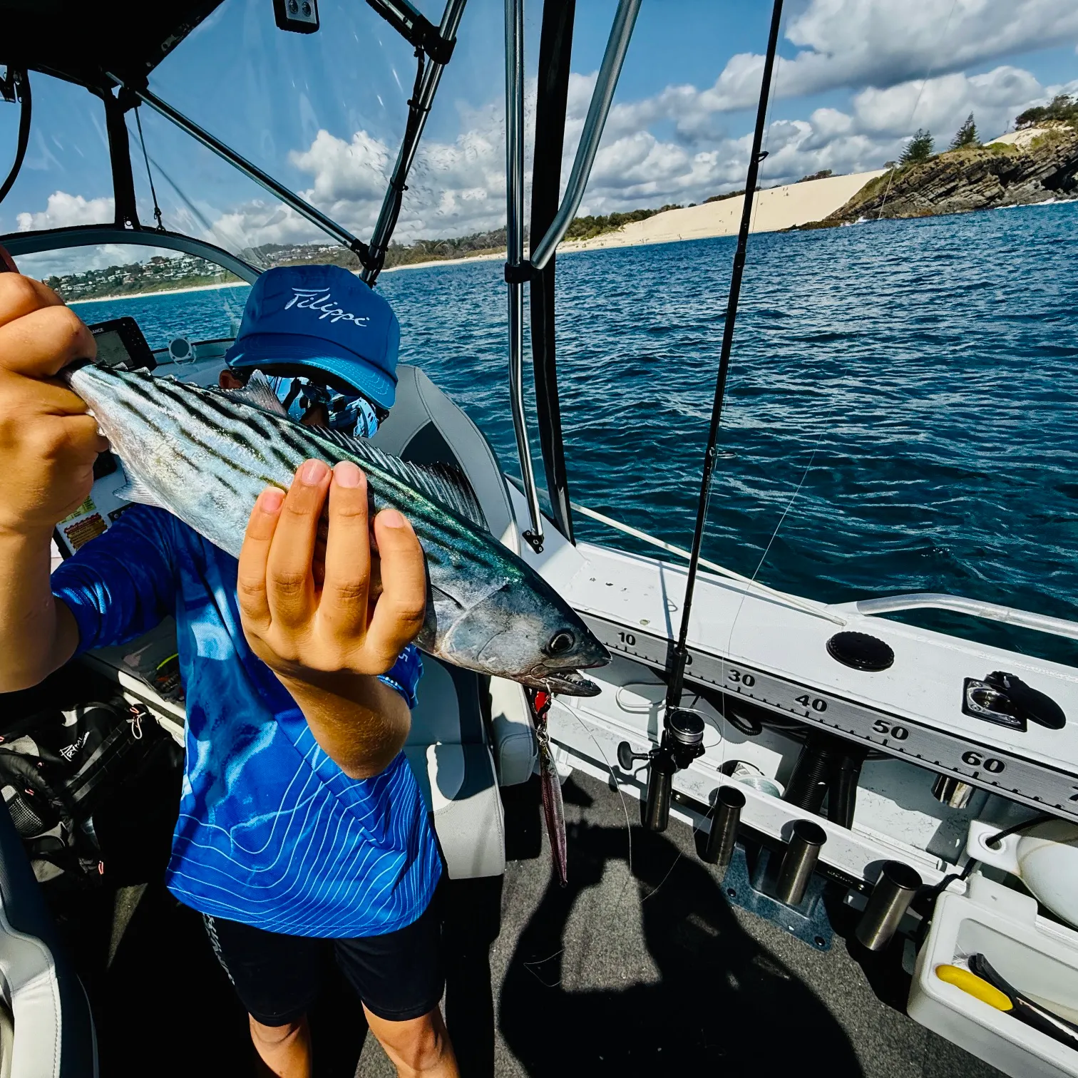 The most recent Australian bonito catches on Fishbrain