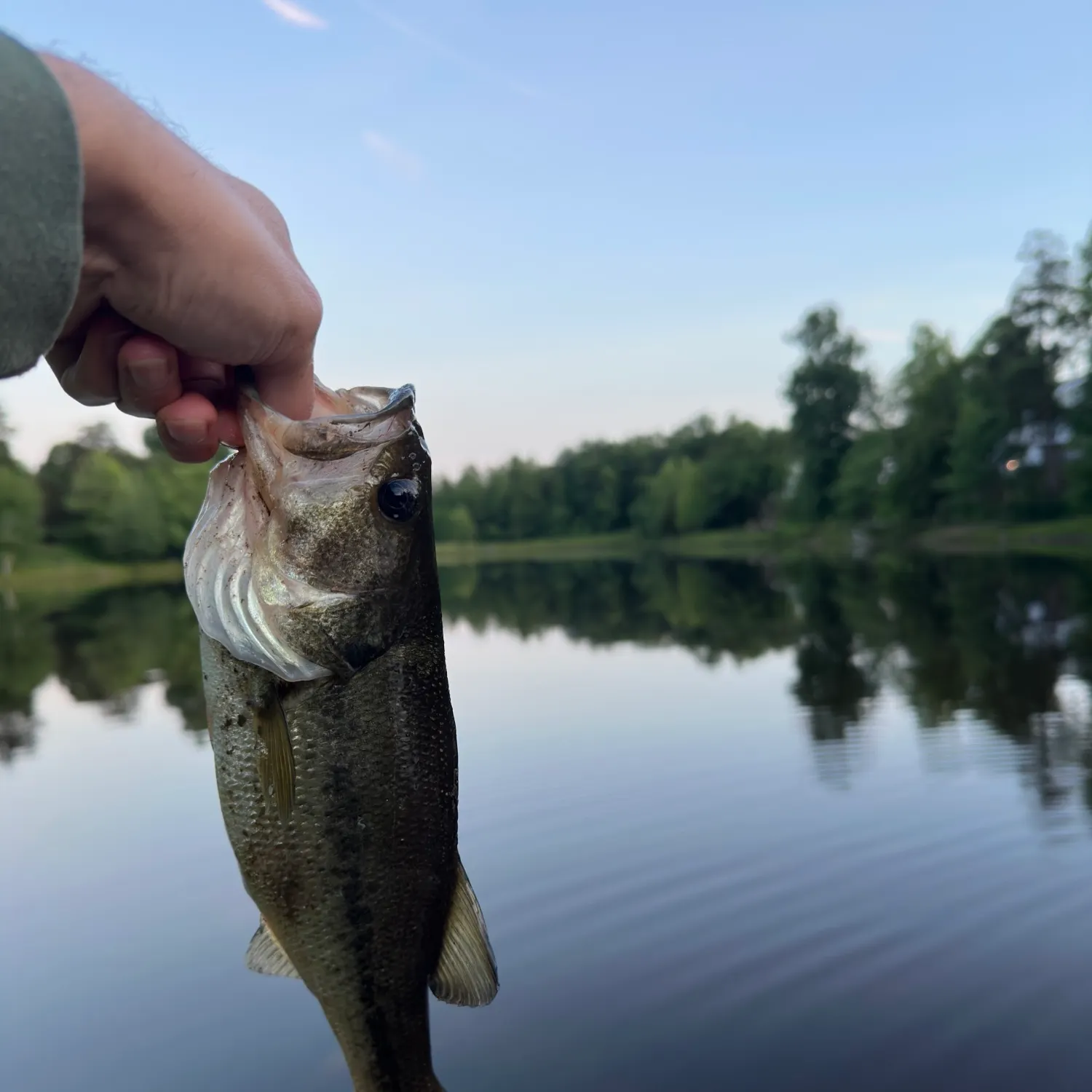angler catch