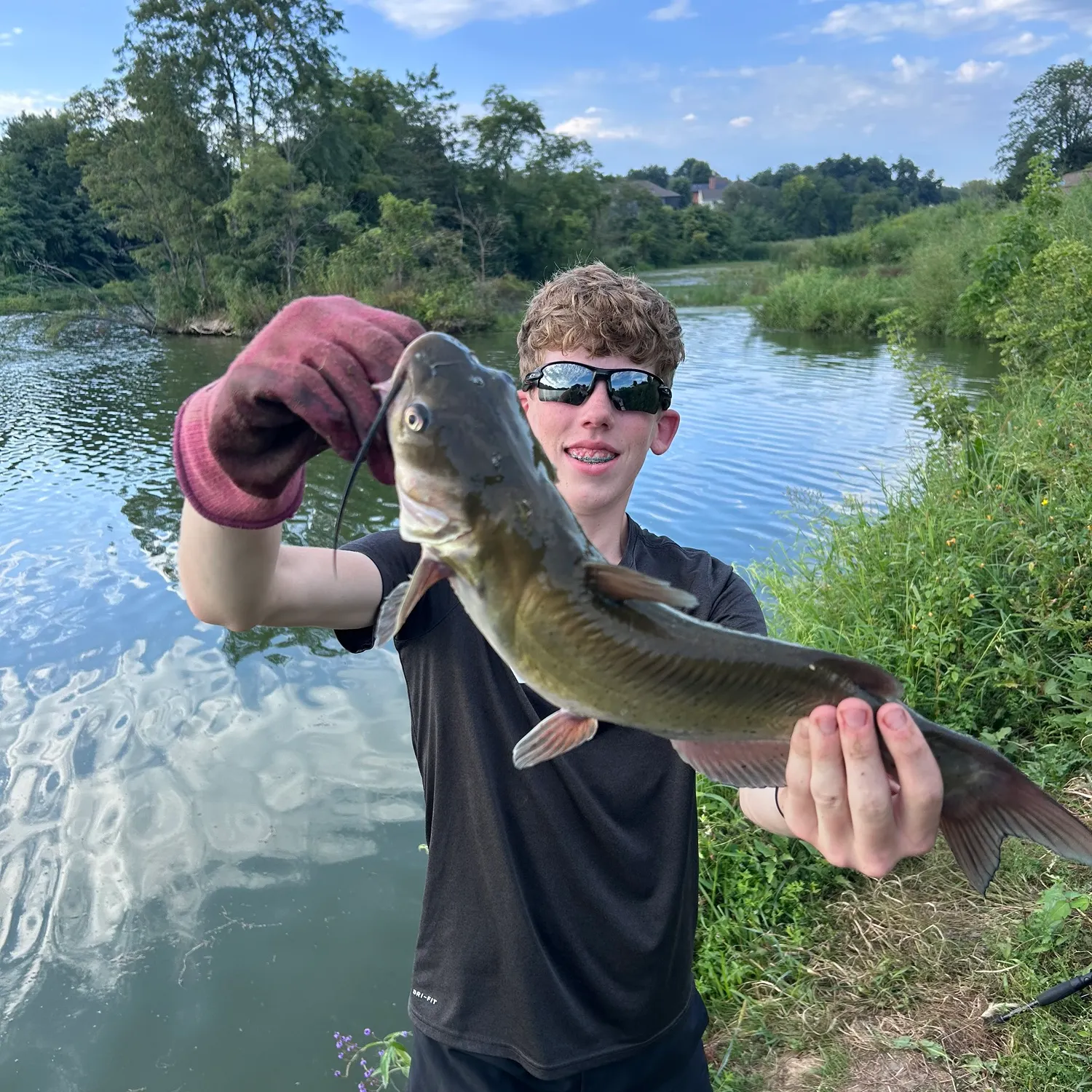 Channel catfish caught on Fishbrain