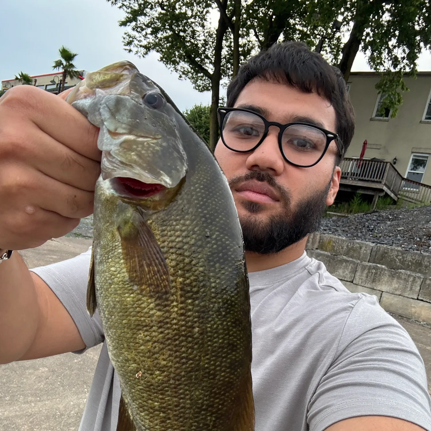 Smallmouth bass caught on Fishbrain
